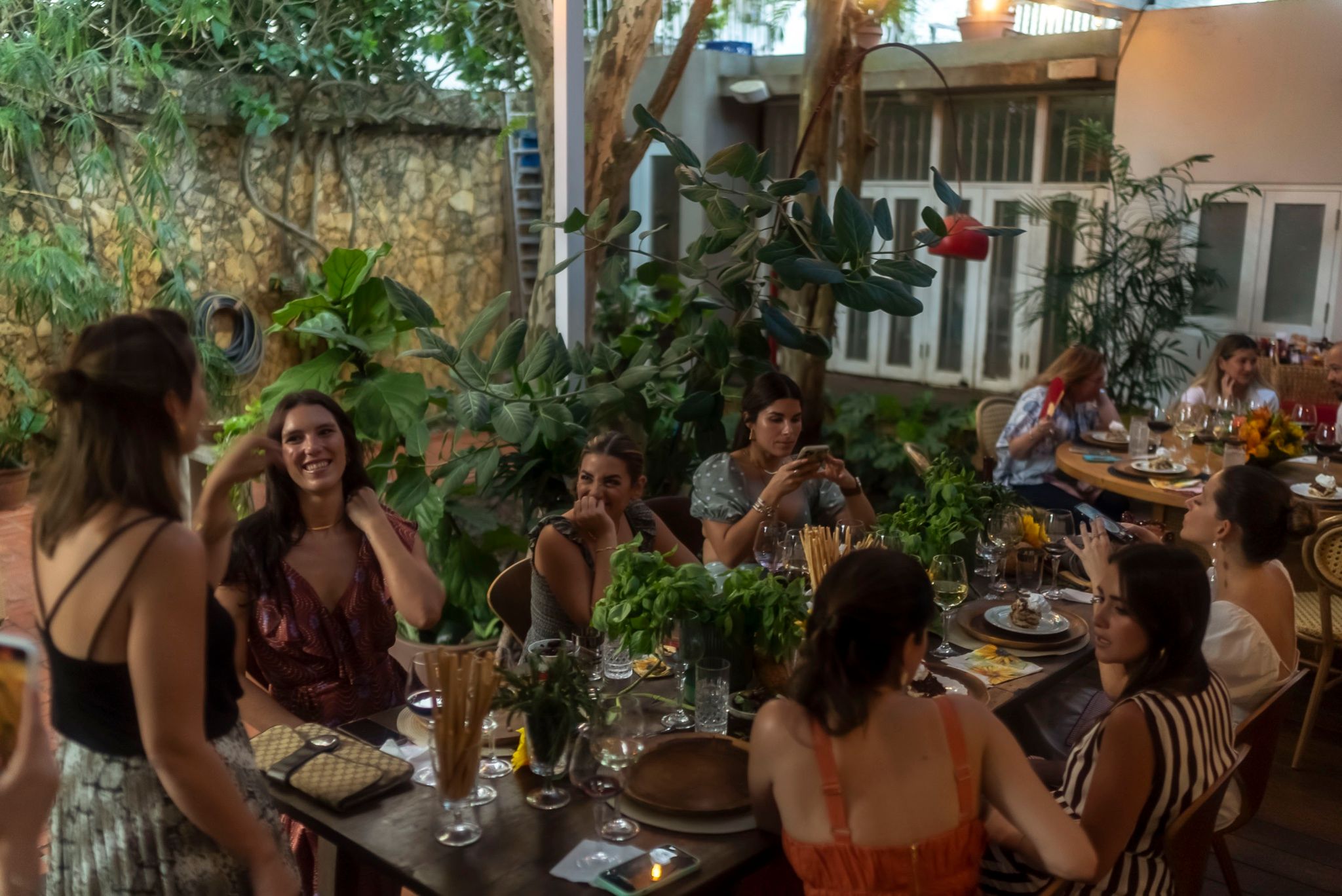 Cena de creadoras de contenido en un patio con plantas, mesa larga servida