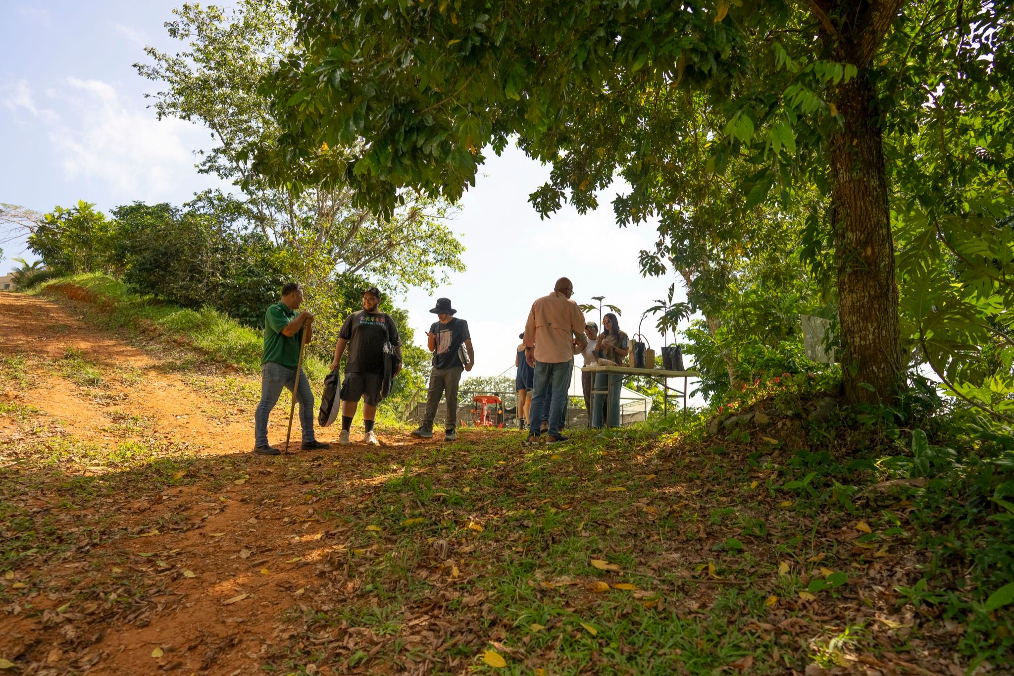 El equipo caminando bajo los árboles hacia una locación