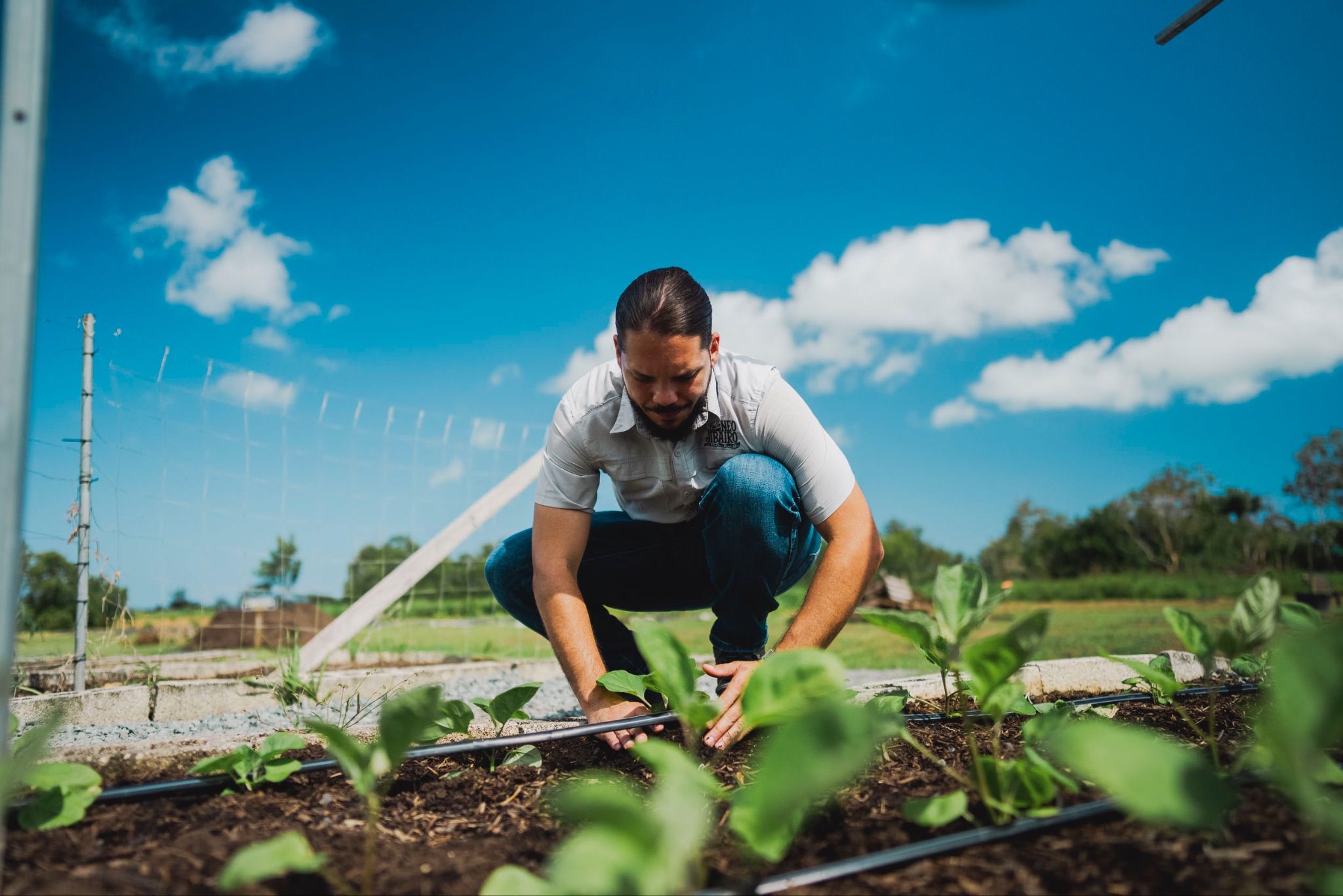 Agricultor sembrando plántulas en un huerto bajo cielo azul